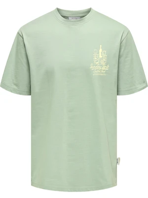 ONLY & SONS ONSBISTRO RLX SS TEE 22033630