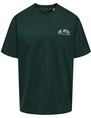 ONLY & SONS ONSBLIGH ATHL SS REG TEE 22033113
