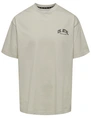 ONLY & SONS ONSBLIGH ATHL SS REG TEE 22033113