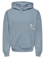ONLY & SONS ONSBRENNAN REG HOODIE SWEAT 22033332