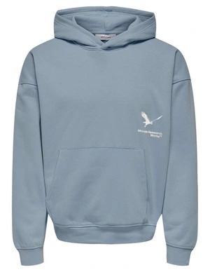 ONLY & SONS ONSBRENNAN REG HOODIE SWEAT 22033332