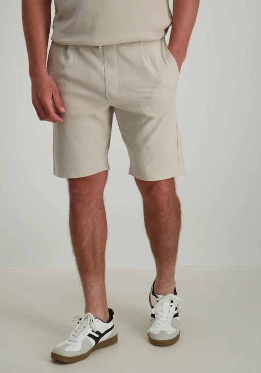 ONLY & SONS ONSCAL REG STRUCT PLEAT SHORTS 22033096