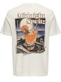 ONLY & SONS ONSCHRIS LIFE REG SS TEE 22034333