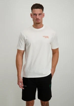 ONLY & SONS ONSCHRIS LIFE REG SS TEE 22034333