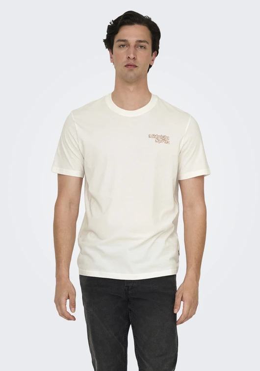 ONLY & SONS ONSCHRIS LIFE REG SS TEE 22034333