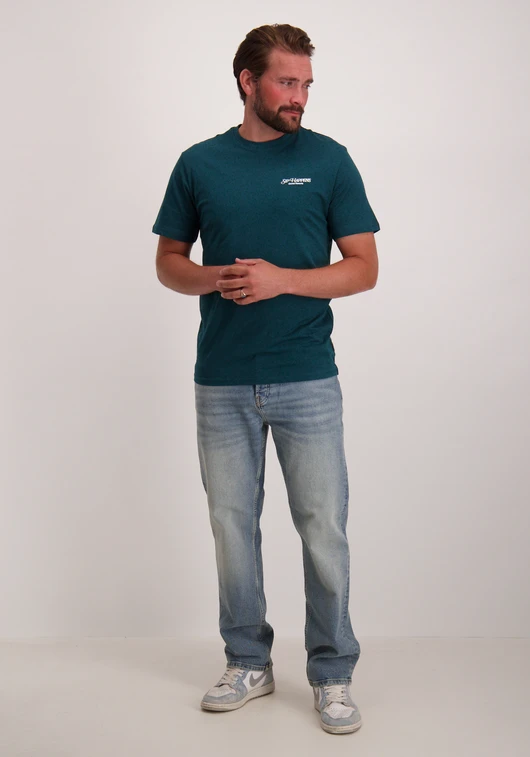 ONLY & SONS ONSCHRIS LIFE REG SS TEE 22034333