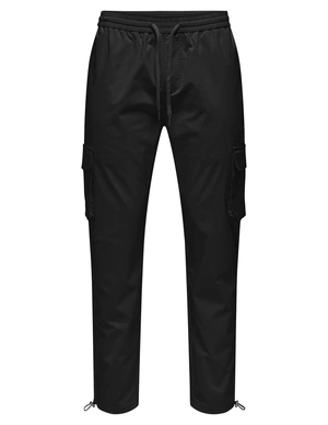 ONLY & SONS ONSCOMMON CARGO 0182 PANT NOOS 22029759