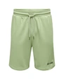 ONLY & SONS ONSDIRK REG SWEAT SHORTS CS 22022810