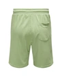 ONLY & SONS ONSDIRK REG SWEAT SHORTS CS 22022810