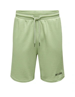 ONLY & SONS ONSDIRK REG SWEAT SHORTS CS 22022810