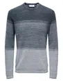 ONLY & SONS ONSFELIX REG 12 CREW KNIT NOOS 22029042