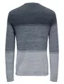 ONLY & SONS ONSFELIX REG 12 CREW KNIT NOOS 22029042