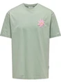ONLY & SONS ONSFLORA COL PRINT RLX SS TEE 22033752