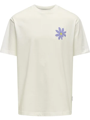 ONLY & SONS ONSFLORA COL PRINT RLX SS TEE 22033752