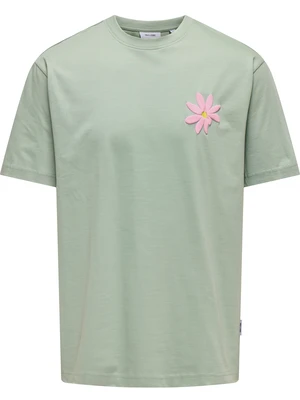 ONLY & SONS ONSFLORA COL PRINT RLX SS TEE 22033752