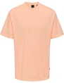 ONLY & SONS ONSFRED RLX SS TEE NOOS 22022532