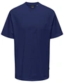 ONLY & SONS ONSFRED RLX SS TEE NOOS 22022532