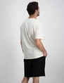 ONLY & SONS ONSFRED RLX SS TEE NOOS 22022532