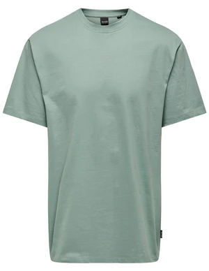 ONLY & SONS ONSFRED RLX SS TEE NOOS 22022532