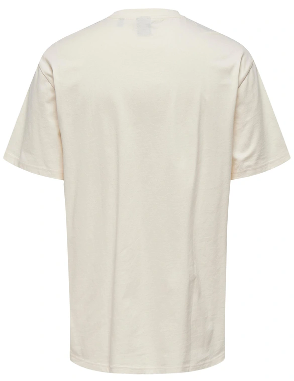 ONLY & SONS ONSFRED RLX SS TEE NOOS 22022532