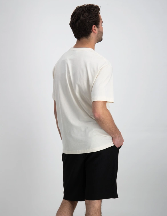 ONLY & SONS ONSFRED RLX SS TEE NOOS 22022532