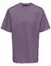 ONLY & SONS ONSFRED RLX SS TEE NOOS 22022532