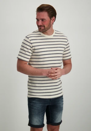 ONLY & SONS ONSIAN REG SS STRIPE STRUCT TEE 22032819