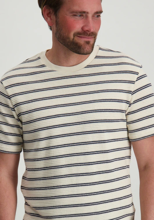 ONLY & SONS ONSIAN REG SS STRIPE STRUCT TEE 22032819