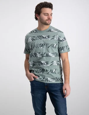 ONLY & SONS ONSIASON REG AOP SS STRIPE TEE 22024773