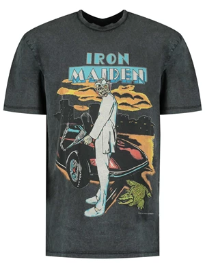 ONLY & SONS ONSIRONMAIDEN RLX SS TEE 22022781