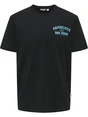 ONLY & SONS ONSITA SS REG TEE 22035503