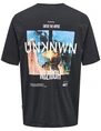 ONLY & SONS ONSKEANE RLX SS PRINT TEE NOOS 22033620