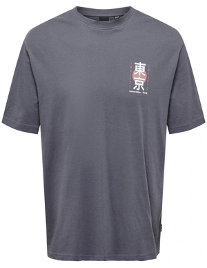 ONLY & SONS ONSKEANE RLX SS PRINT TEE NOOS 22033620