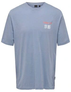 ONLY & SONS ONSKEANE RLX SS PRINT TEE NOOS 22033620