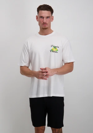 ONLY & SONS ONSKEANE RLX SS PRINT TEE NOOS 22033620