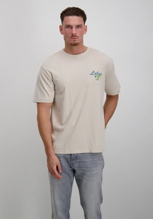 ONLY & SONS ONSKEANE RLX SS PRINT TEE NOOS 22033620