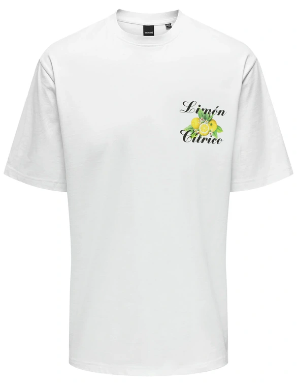 ONLY & SONS ONSKEANE RLX SS PRINT TEE NOOS 22033620