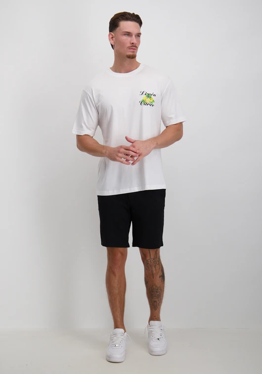 ONLY & SONS ONSKEANE RLX SS PRINT TEE NOOS 22033620