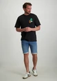 ONLY & SONS ONSKEANE RLX SS PRINTED TEE CS 22029734