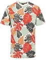 ONLY & SONS ONSKENA LIFE REG SS AOP TEE 22020075