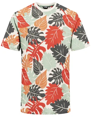 ONLY & SONS ONSKENA LIFE REG SS AOP TEE 22020075