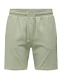 ONLY & SONS ONSKIAN REG SEERSUCKER SHORTS NOOS 22029752
