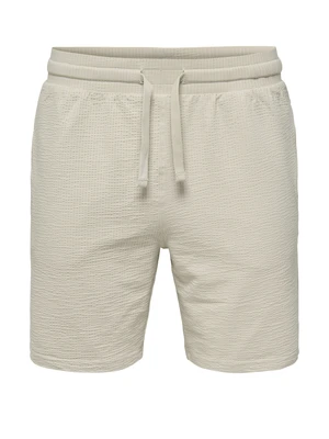 ONLY & SONS ONSKIAN REG SEERSUCKER SHORTS NOOS 22029752