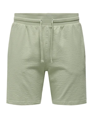 ONLY & SONS ONSKIAN REG SEERSUCKER SHORTS NOOS 22029752