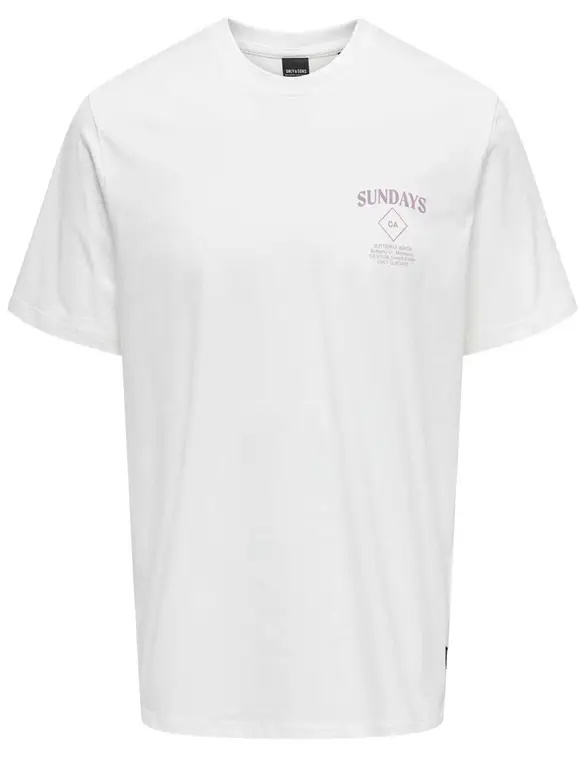 ONLY & SONS ONSKYE REG PHOTO SS TEE 22028726