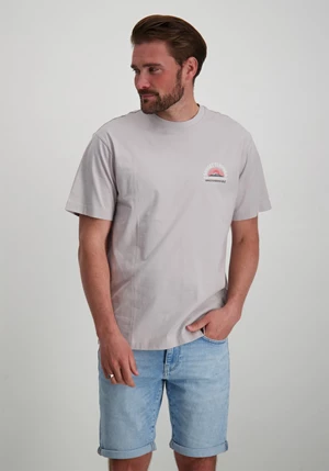 ONLY & SONS ONSKYSON RLX FOOD SS TEE 22028709