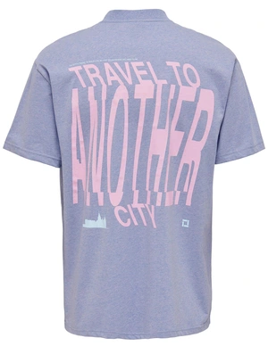 ONLY & SONS ONSLAYNE LIFE RLX SS TEE 22025299