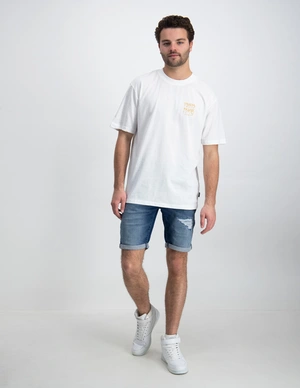ONLY & SONS ONSLAYNE LIFE RLX SS TEE 22025299