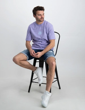 ONLY & SONS ONSLAYNE LIFE RLX SS TEE 22025299