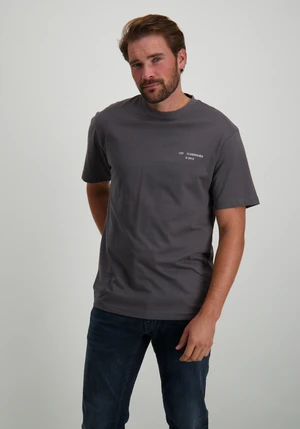 ONLY & SONS ONSLES CLASSIQUES RLX PRINT SS TEE 22030601